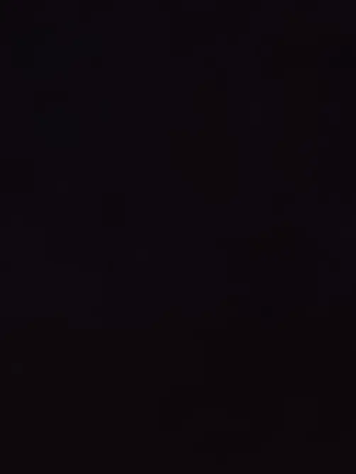 SilverWagon5838의 ㅊㅇㅈ