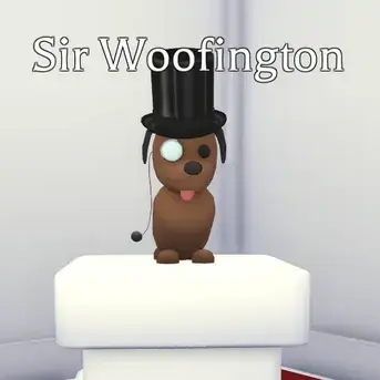 Profile image of 우핑턴