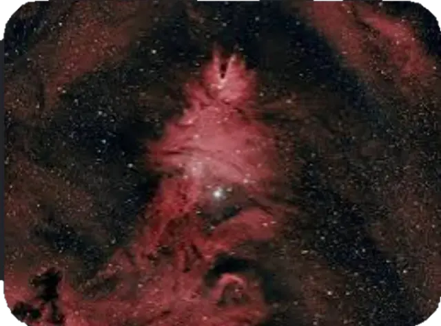 Profile image of ゴジラ・ウルティマ本体