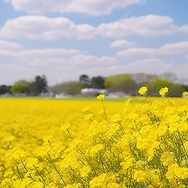 Profile image of 백봄