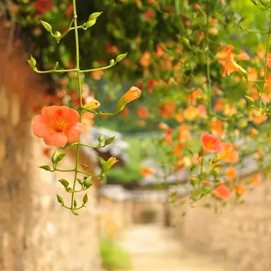 Profile image of 이한성