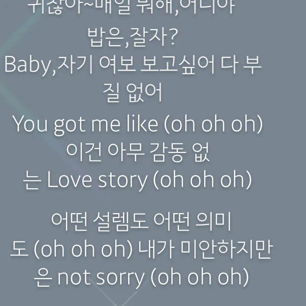 팀나빠에 여우