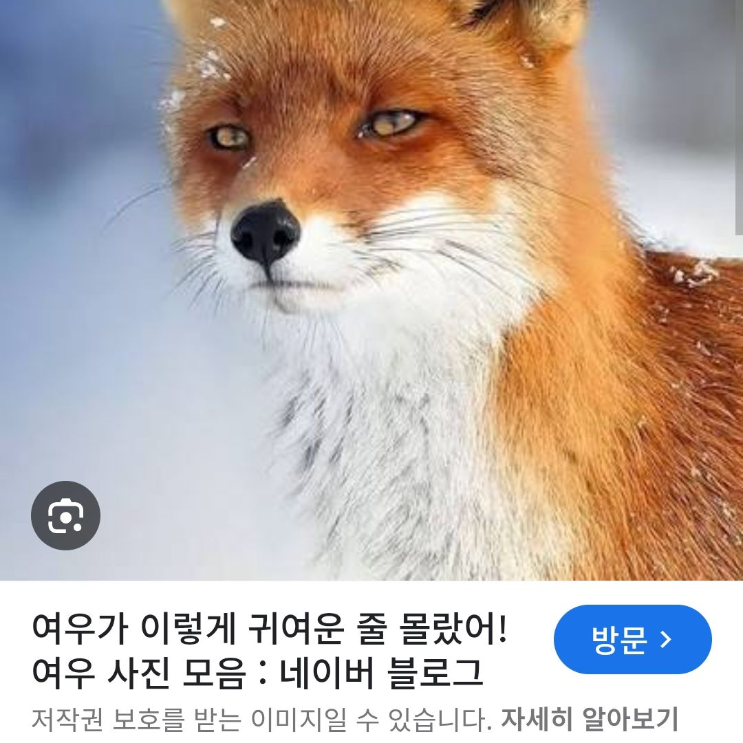 오바미츠 팬을 위해 만들었습니다! 대표 이미지