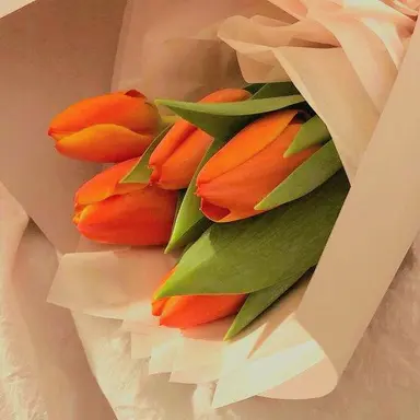 Profile image of 덕경장