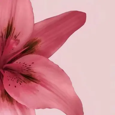 Profile image of 佐久間大介