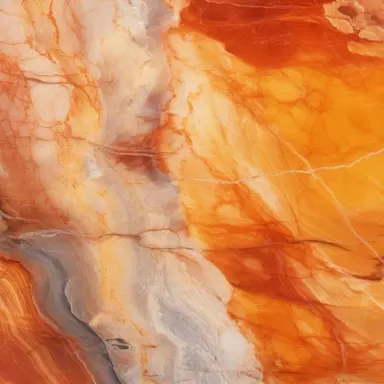 Profile image of 向井康二