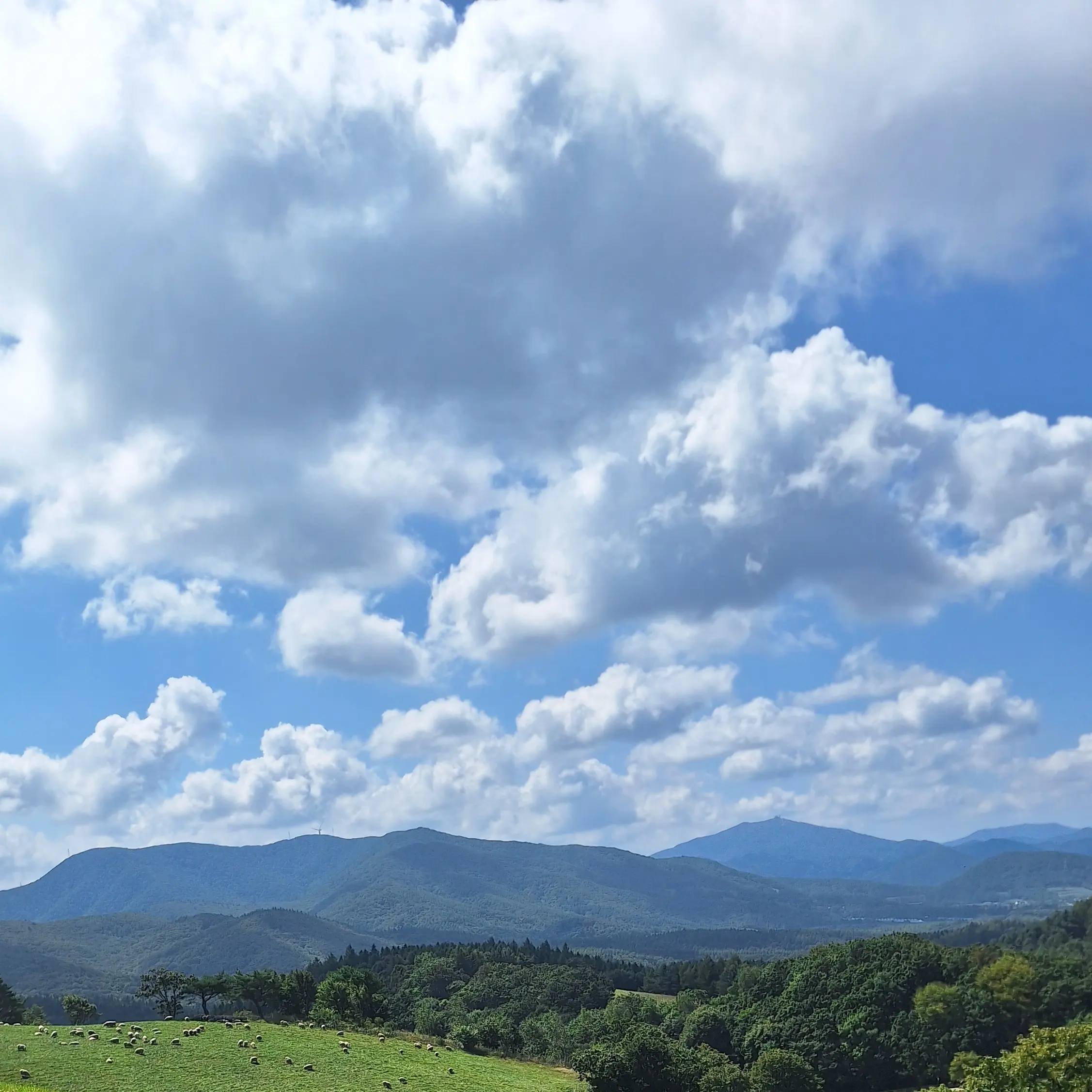 apologize3266의 게임 오버