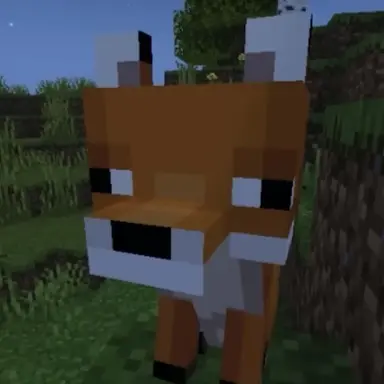 Profile image of 여우