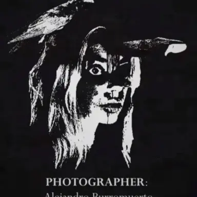 Profile image of Lindsay Top