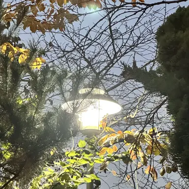 Profile image of 이상혃