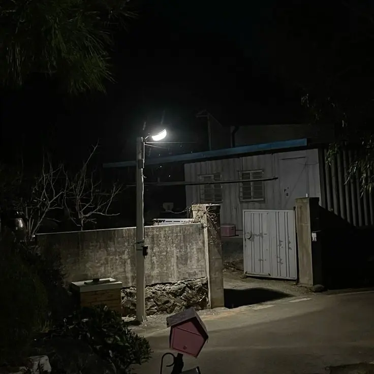 TimidMoss6632의 📚