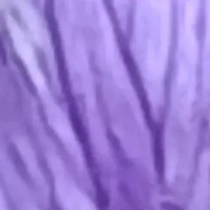Profile image of 평학
