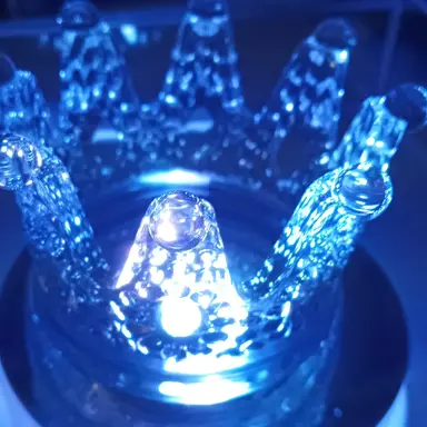 Profile image of ショタ烏とショタ氷織