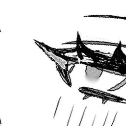 アロハ