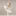 유서연
