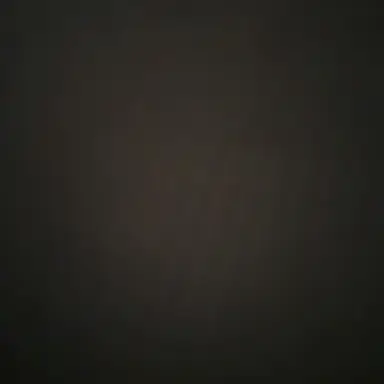 Profile image of 홍루