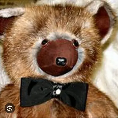 Profile image of ビルダーベア