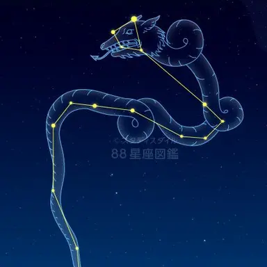 Profile image of 시류