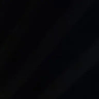 Profile image of 문쟤현