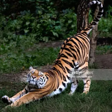 Profile image of Alaric