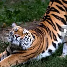 Profile image of Genevieve