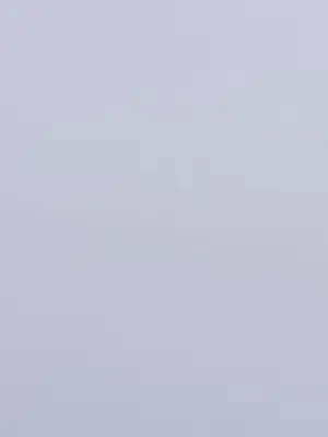 PetiteCable6283의 피라미드게임