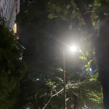 Profile image of 이시윤