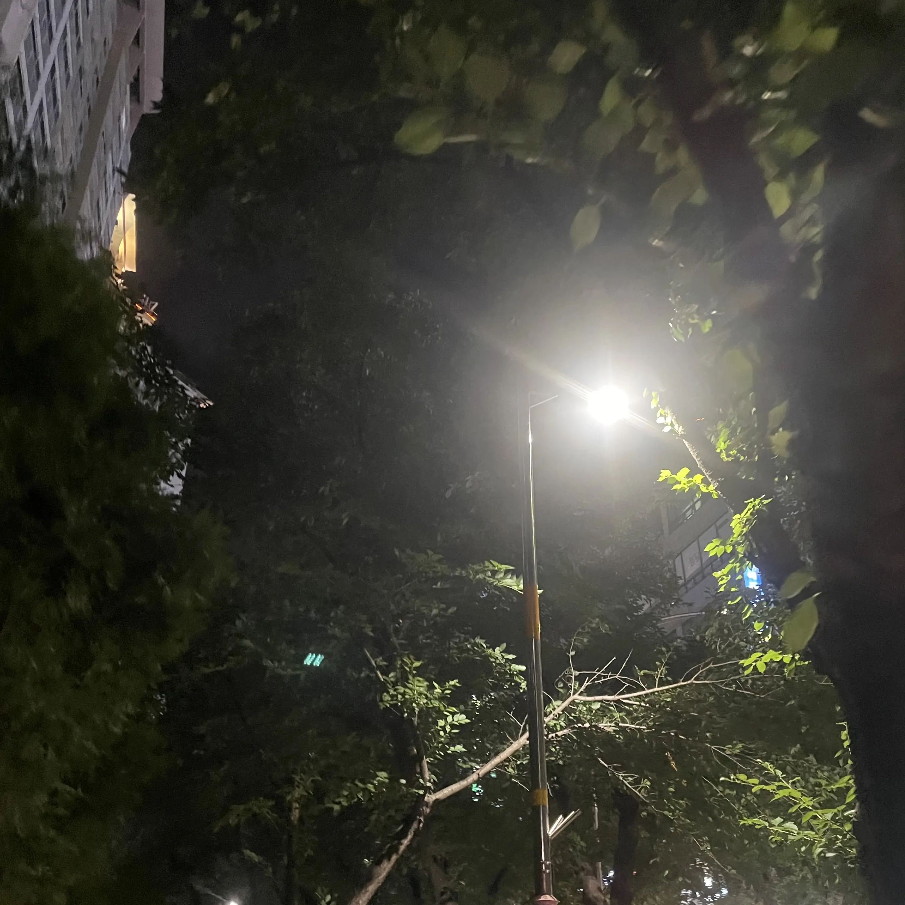 TacitSwipe0923의 이시윤