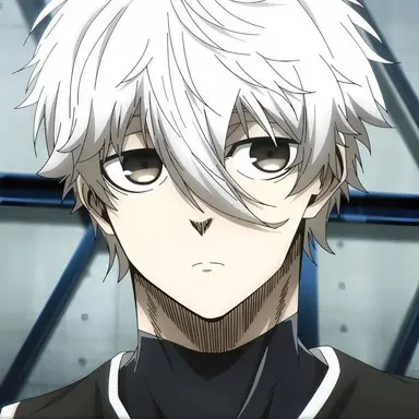 Profile image of Seishiro Nagi