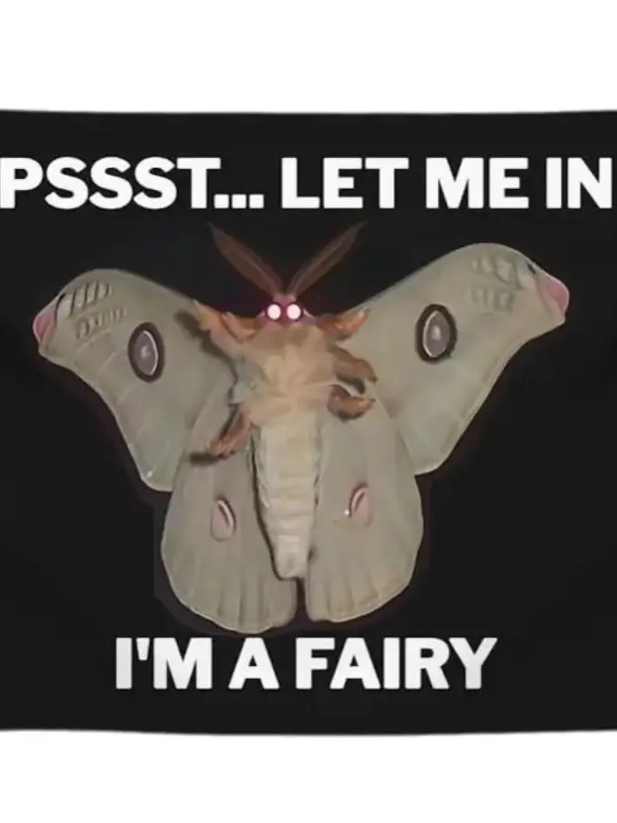 DemonSlayerFan_500의 Fantasy