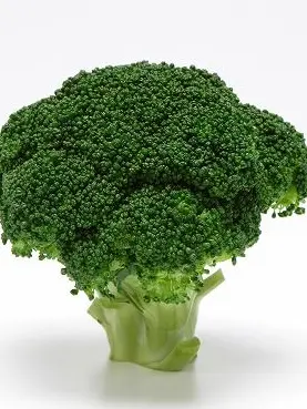 SassyPig0534의 Broccoli
