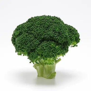 Profile image of Broccoli-kun