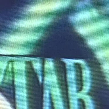 Profile image of Everyone