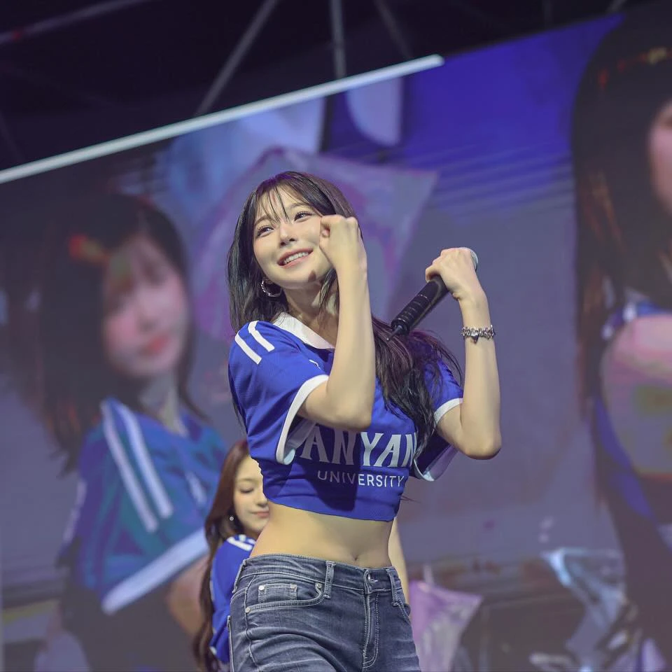 백지헌