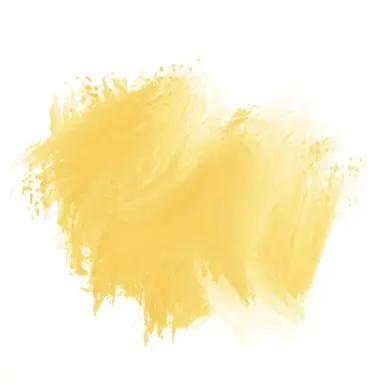 Profile image of 레인