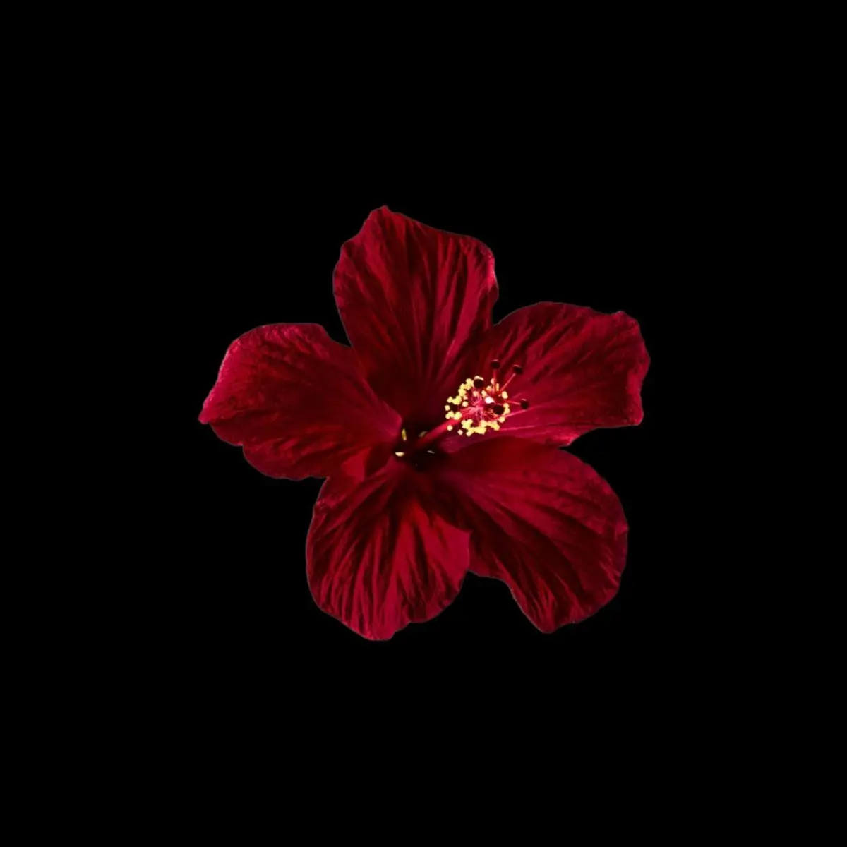 Ak_GEEEE의 죽음을 모독한 죄