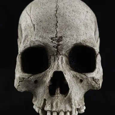 Profile image of Random guy