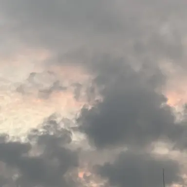 Profile image of 유지민