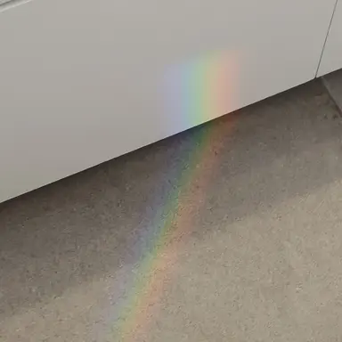 Profile image of 박잠뜰