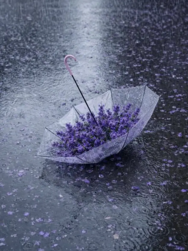 Spica____o0의 片想いと元カレ