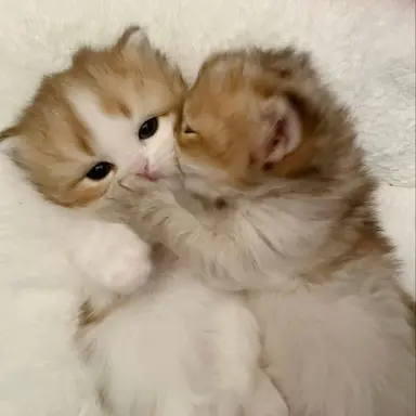 Profile image of 김규빈