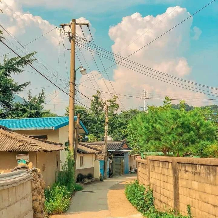 카페ver.