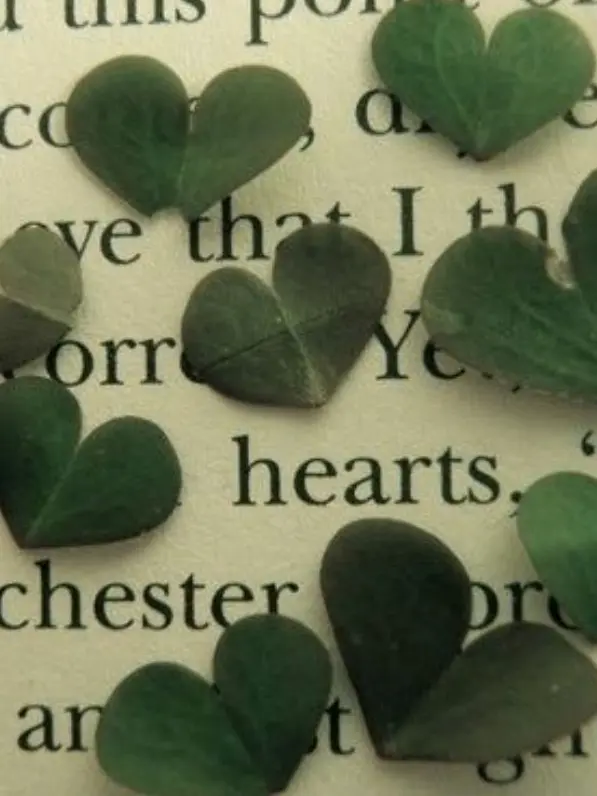 love_RD의 정공룡