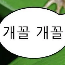 Dkslskzks의 권재희