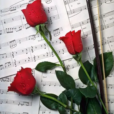 Profile image of 薔薇葉
