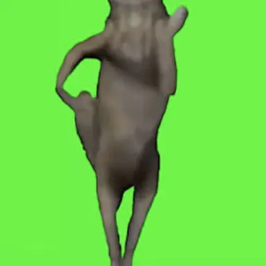 Profile image of Jake