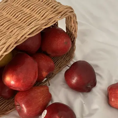 Profile image of 마플