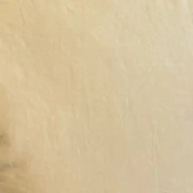 Profile image of 有古