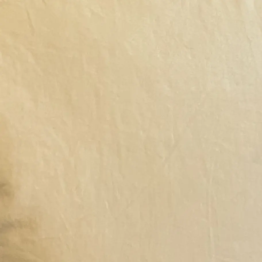 BlandBelt8392의 🕴️