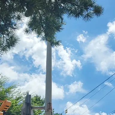 Profile image of 곽지석